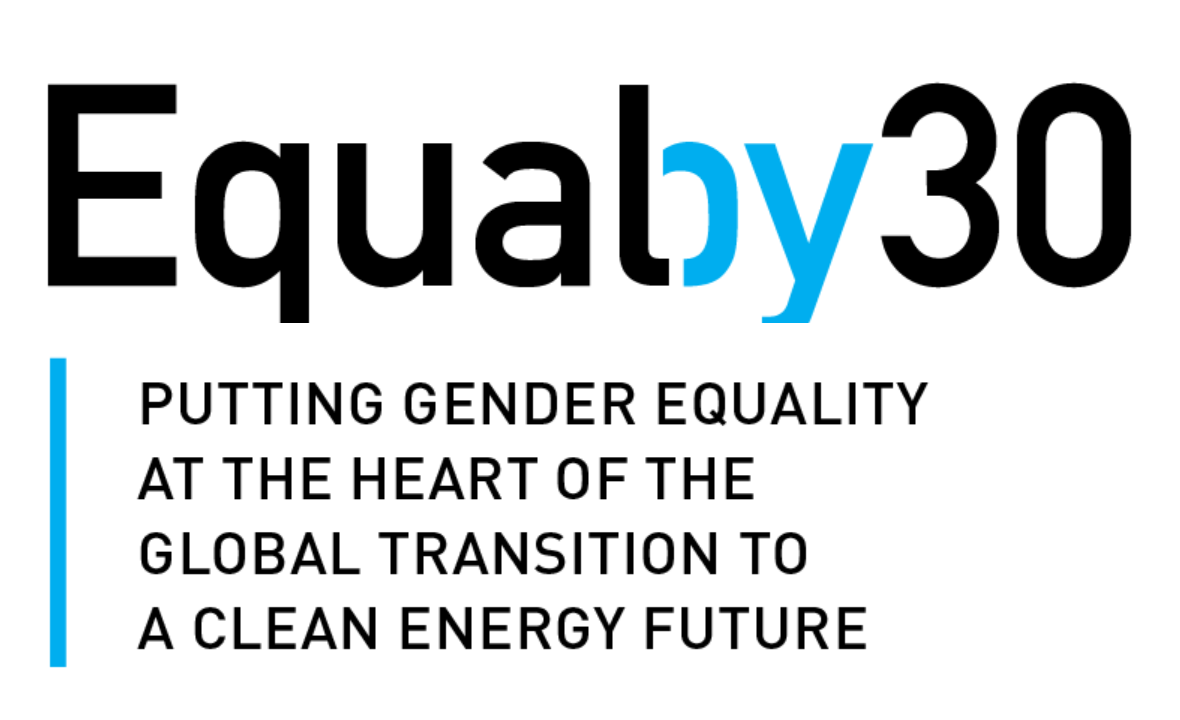 WISER is the 125th signatory to the #Equalby30 Campaign